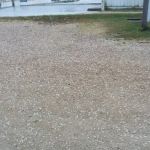 Livestock Veterinary Services