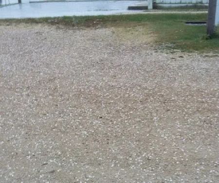 Livestock Veterinary Services