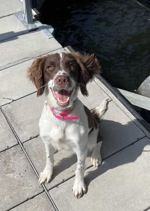 Laurie Animal Hospital Picture 1