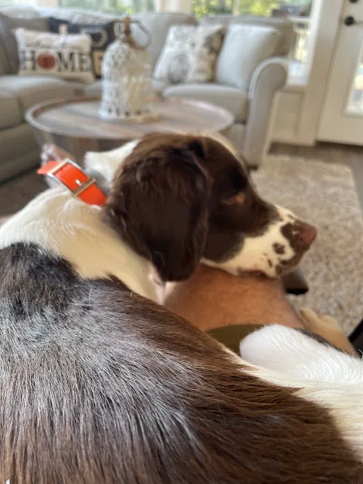 Laurie Animal Hospital Picture 2