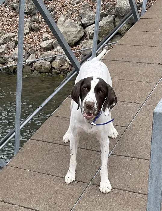 Laurie Animal Hospital Picture 3