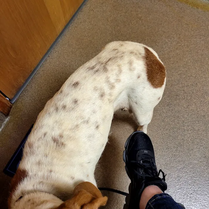 Laurie Animal Hospital Picture 7