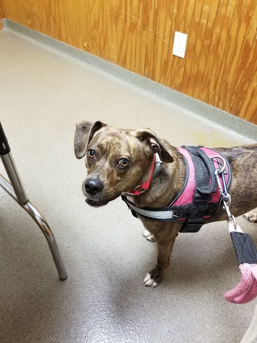 Laurie Animal Hospital Picture 9