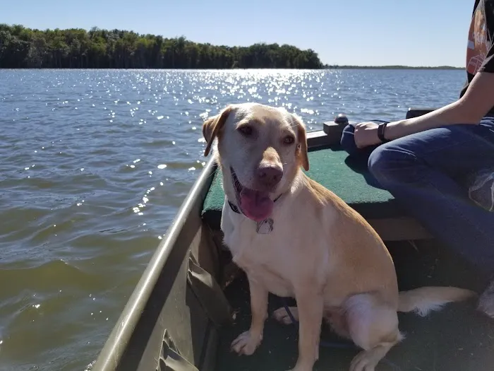 Laurie Animal Hospital Picture 10