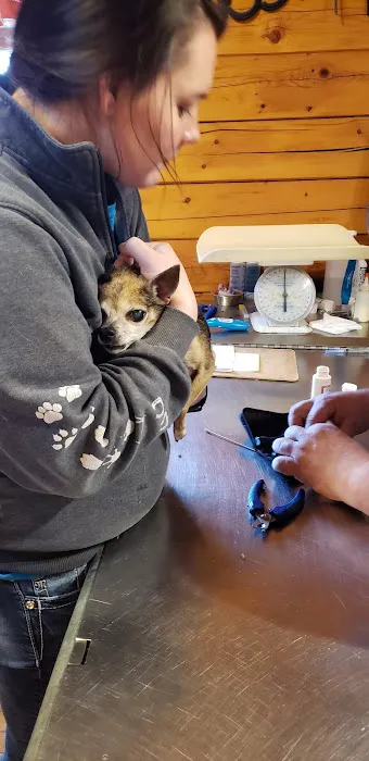 Crawford County Vet Clinic Picture 1