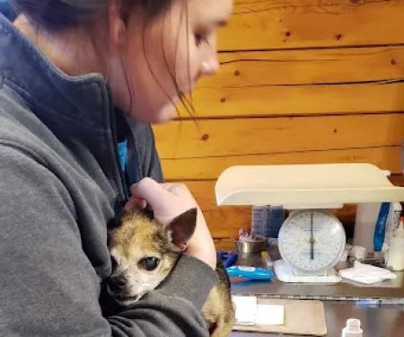 Crawford County Vet Clinic