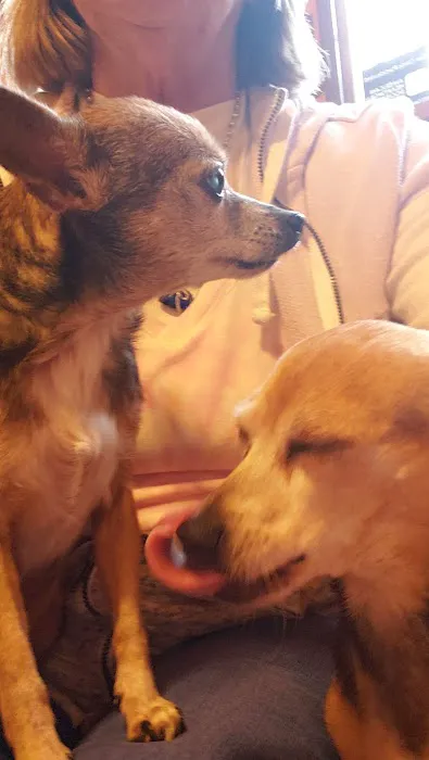 Crawford County Vet Clinic Picture 3