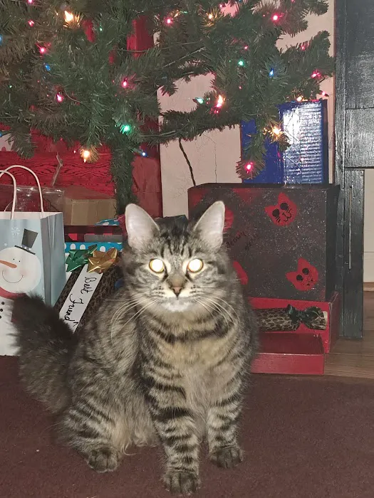 Swope KC & Melanie Dvm's Picture 3