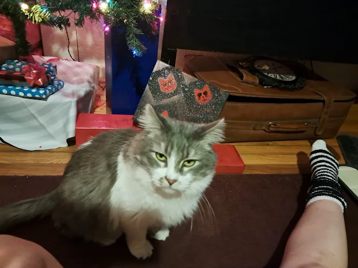 Swope KC & Melanie Dvm's Picture 2