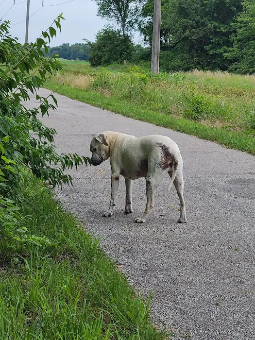 Tri-County Veterinary Services Picture 1