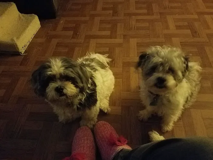 Tri-County Veterinary Services Picture 2