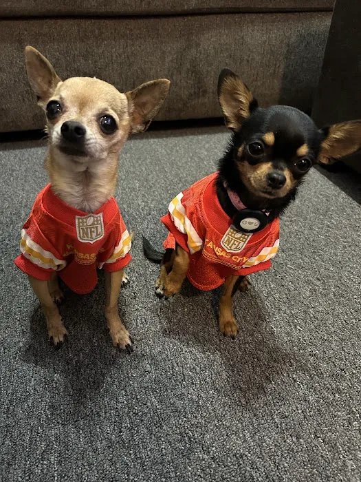 Tri-County Veterinary Services Picture 8