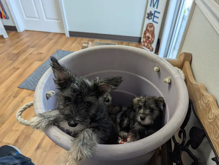 Tri-County Veterinary Services Picture 7