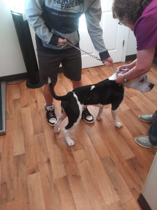 Tri-County Veterinary Services Picture 6