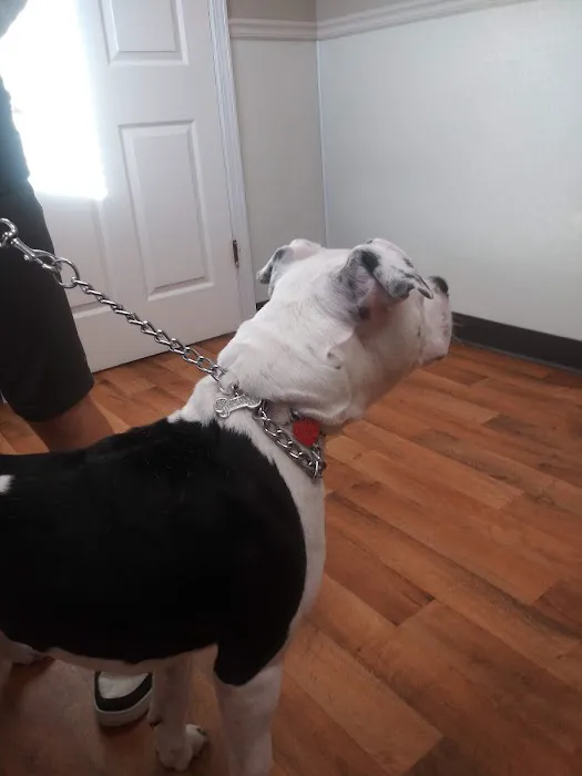 Tri-County Veterinary Services Picture 9