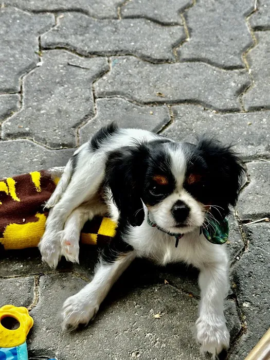 Osage Regional Veterinary Clinic Picture 1