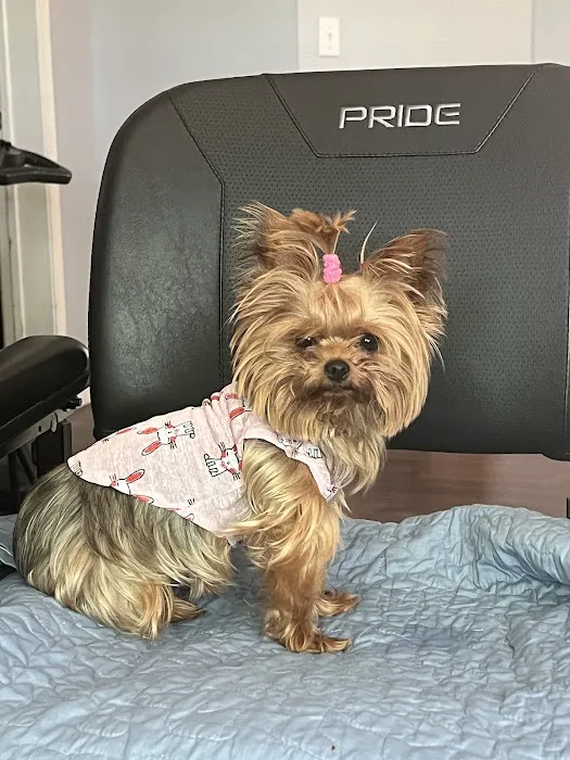 Osage Regional Veterinary Clinic Picture 2