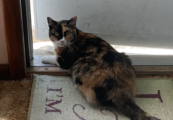 Osage Regional Veterinary Clinic Picture 4