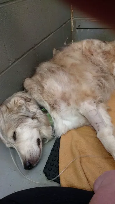 Midland Store Veterinary Clinic - Schuyler location Picture 3