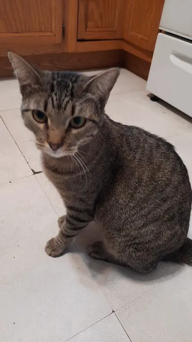 Midland Store Veterinary Clinic - Schuyler location Picture 1