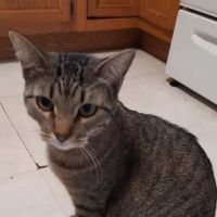 Midland Store Veterinary Clinic - Schuyler location ico