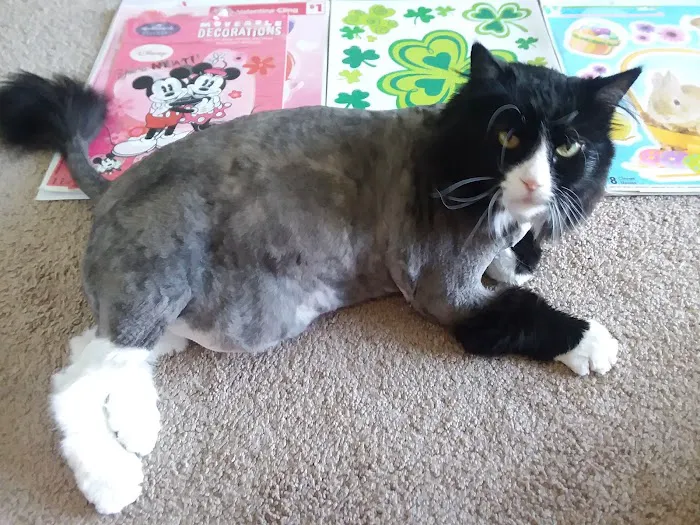 Midland Store Veterinary Clinic - Schuyler location Picture 2