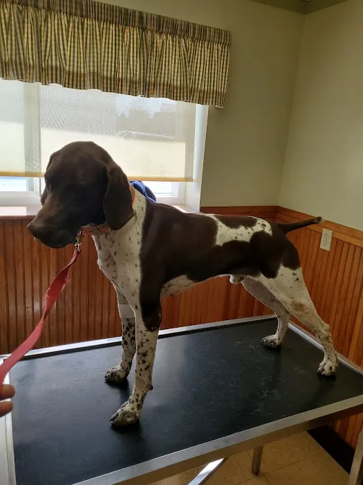 Midland Store Veterinary Clinic - Schuyler location Picture 6