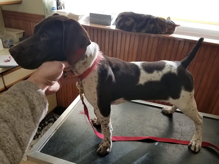 Midland Store Veterinary Clinic - Schuyler location Picture 5