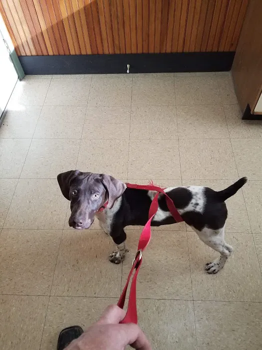 Midland Store Veterinary Clinic - Schuyler location Picture 4