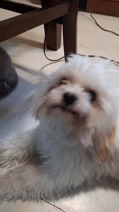 Midland Store Veterinary Clinic - Schuyler location Picture 7