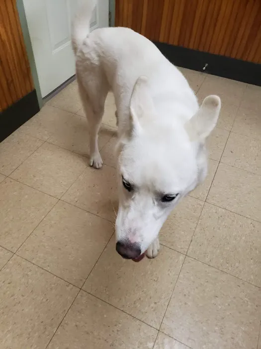 Midland Store Veterinary Clinic - Schuyler location Picture 8