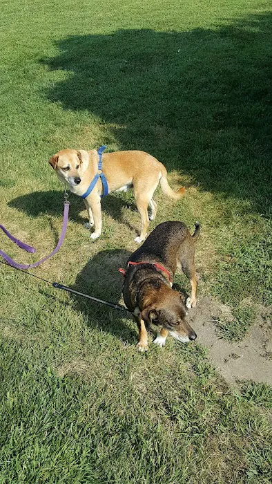 Midland Store Veterinary Clinic - Schuyler location Picture 10