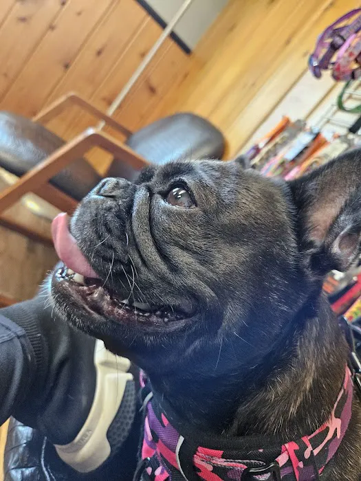 Twin Rivers Veterinary Clinic Picture 1