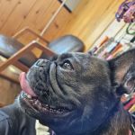 Twin Rivers Veterinary Clinic