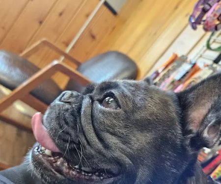 Twin Rivers Veterinary Clinic