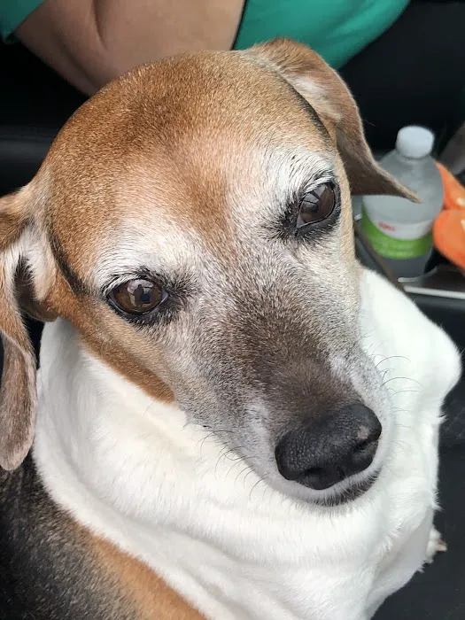 Twin Rivers Veterinary Clinic Picture 3