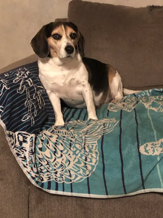 Twin Rivers Veterinary Clinic Picture 2