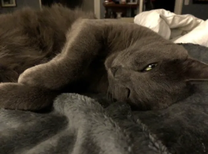 Redstone Veterinary Clinic Picture 3