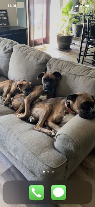 Redstone Veterinary Clinic Picture 2