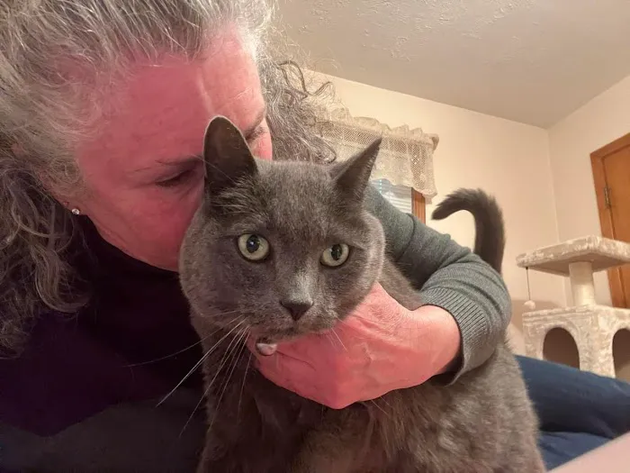 Redstone Veterinary Clinic Picture 1