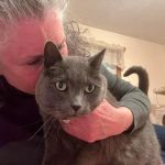 Redstone Veterinary Clinic