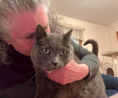 Redstone Veterinary Clinic