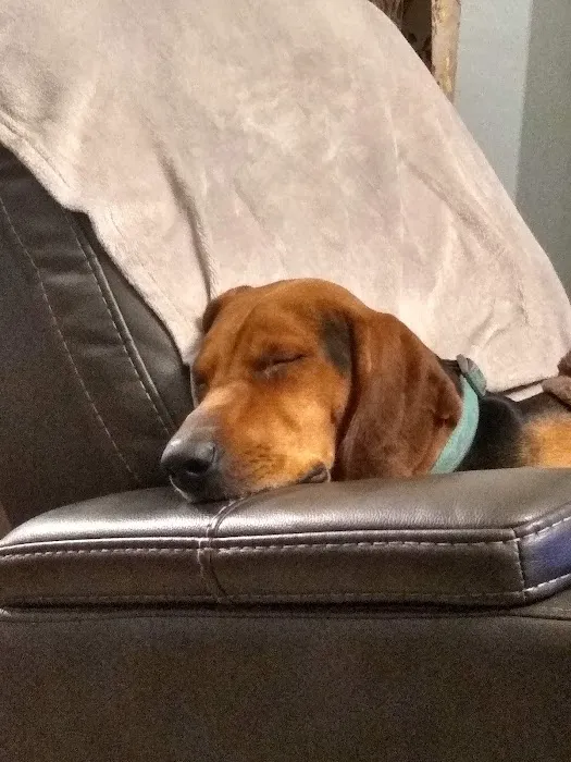 Redstone Veterinary Clinic Picture 7