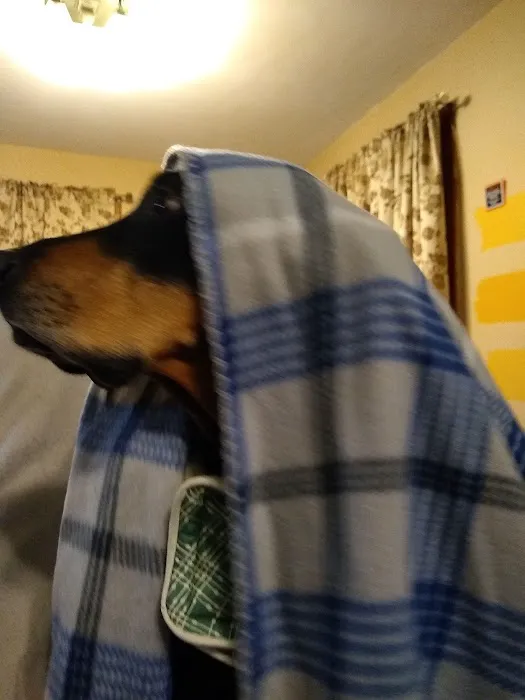 Redstone Veterinary Clinic Picture 6