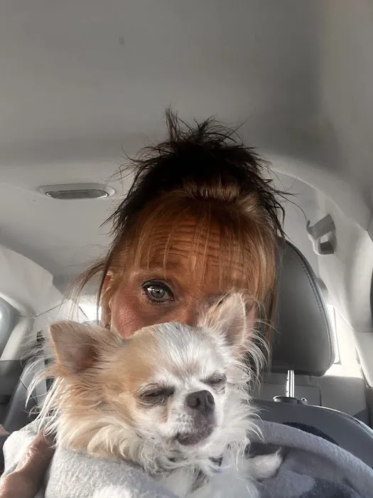 Columbus Small Animal Hospital Picture 2