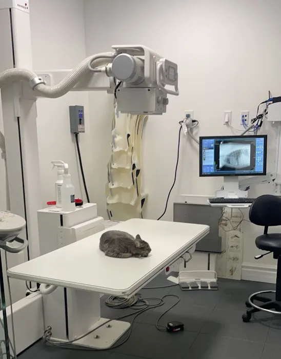 Columbus Small Animal Hospital Picture 5