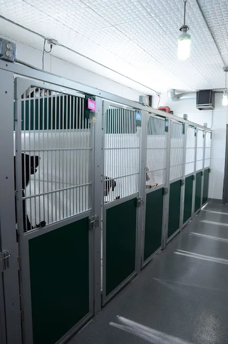 Columbus Small Animal Hospital Picture 7