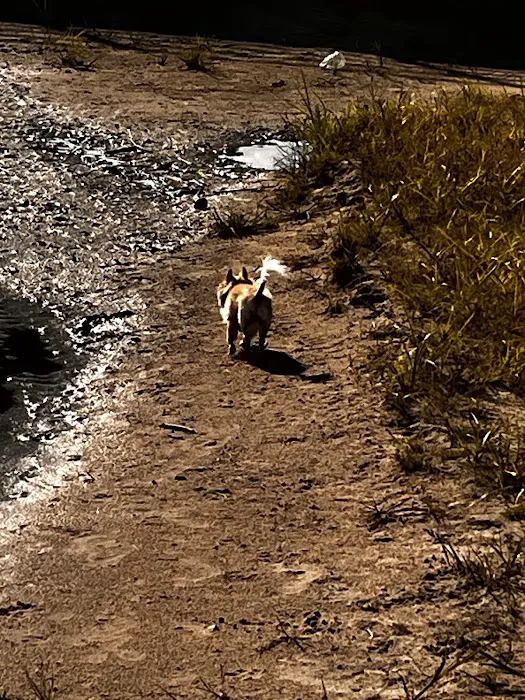 Columbus Small Animal Hospital Picture 9