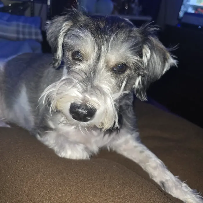 Columbus Small Animal Hospital Picture 6