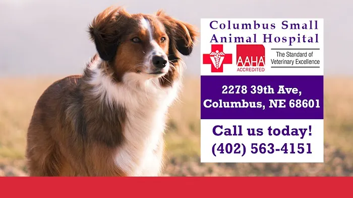 Columbus Small Animal Hospital Picture 10
